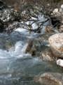 092_eau_torrent.jpg