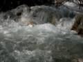093_eau_torrent.jpg