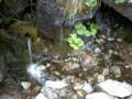 175_source_ecrins.jpg