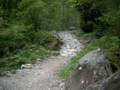 178_ecrins_chemin.jpg