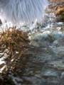 318_micro_ruisseau.jpg