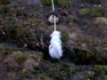 342_micro_ruisselet.jpg