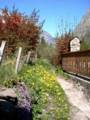348_sentier_alleau.jpg