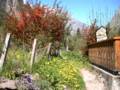 349_sentier_alleau.jpg