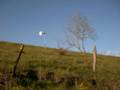 364_micro_prairie.jpg