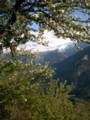 366_printemps_ecrins.jpg