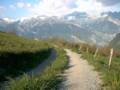 371_ecrins_chemin.jpg
