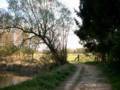 008_neeryse_domaine.jpg