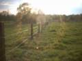 086_prairie_neeryse.jpg